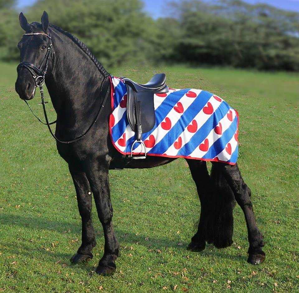 Friesenreitdecke mit Sattelaussparung