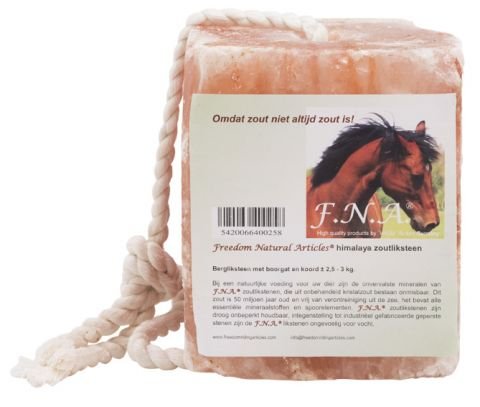 Himalaya-Salzleckstein