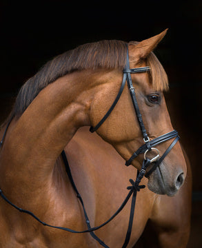 Hoofdstel Silverado Leder 2.0