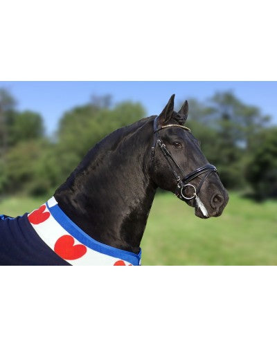 HB showdeken friesch