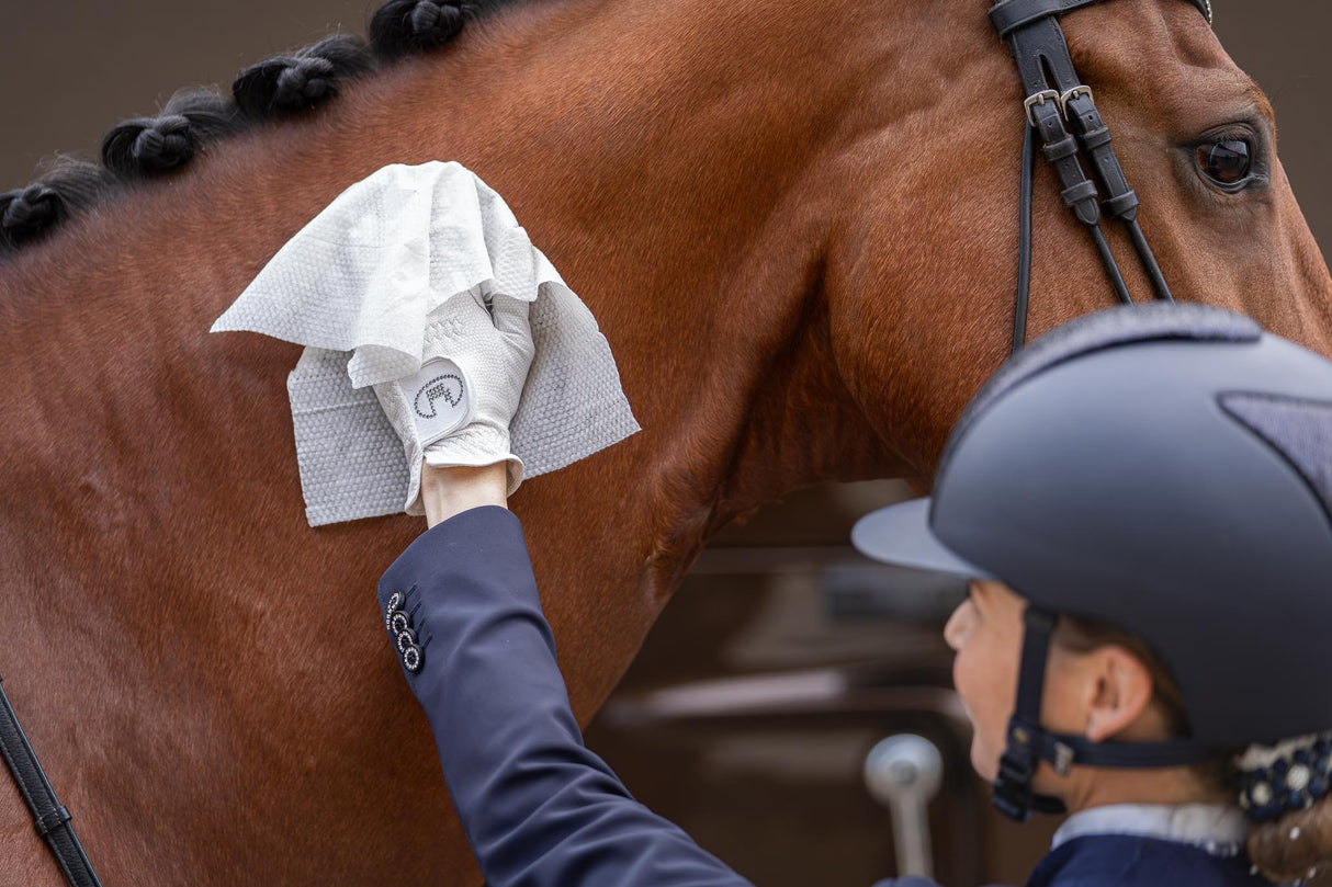 Pferde-Feuchttücher Natural Clean 30 XXL-Tücher