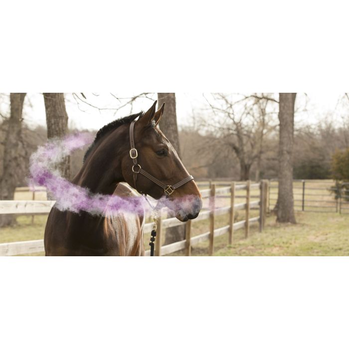 Sicheres Pferde-Flash-Pheromon-Gel