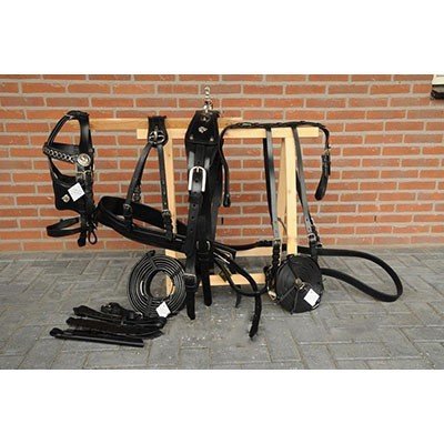 Luxus-Friesengeschirr