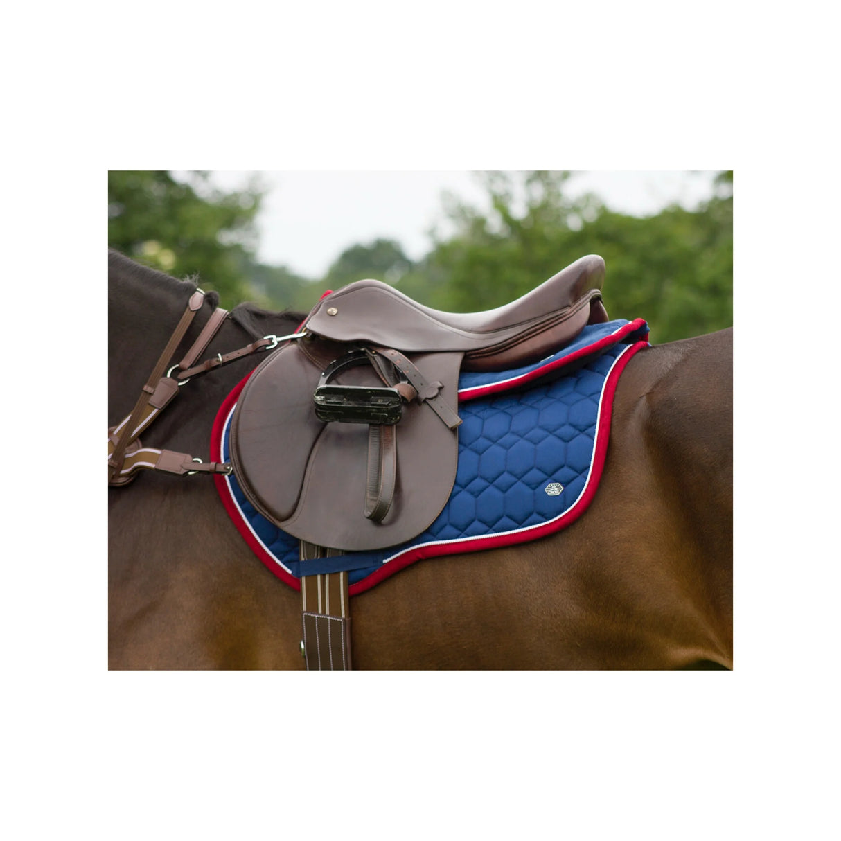 Zadeldek Eldorado spring dekje