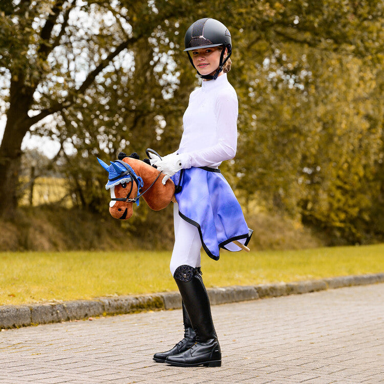 Steckenpferd Steckenpferd