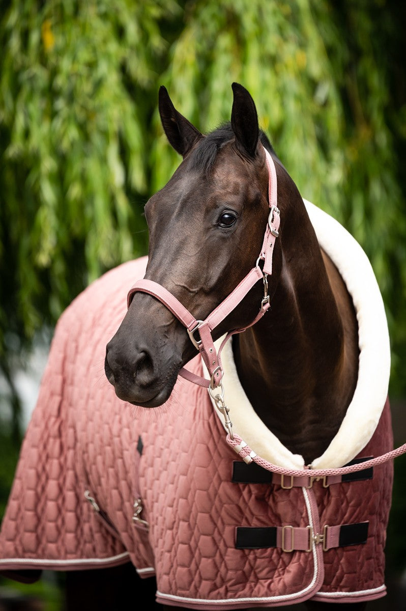 HB Showtime Special Peach Tropical Sierdeken