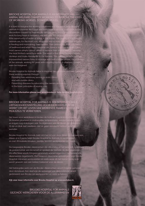 Horse and Hunk kalender 2026