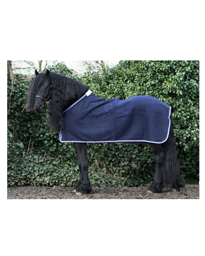 HB Statiedeken Friesch