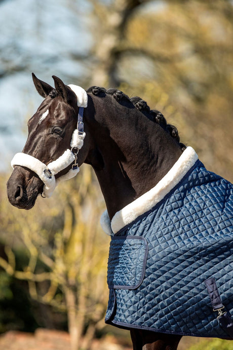 HB Showtime showdeken Steelblue Desir