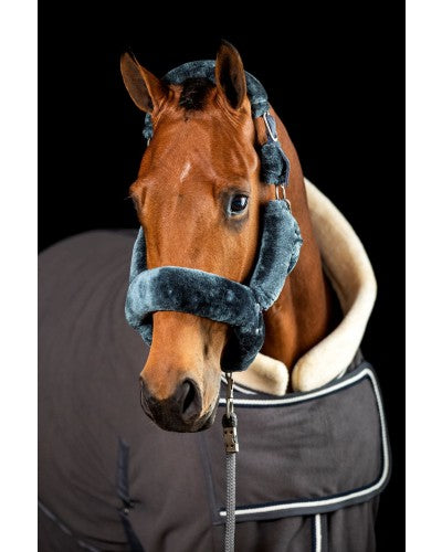 HB Polar 400 Dutch Crown