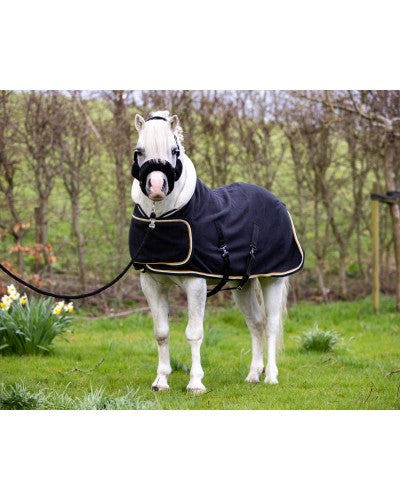 Showtime Harry and Hector Dutch Crown little sizes