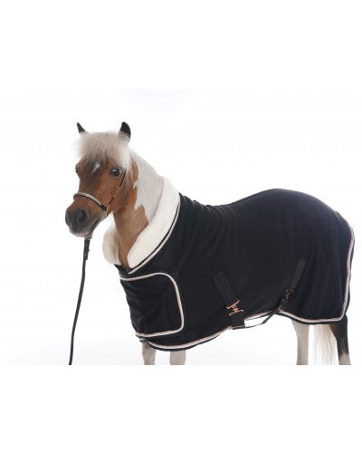 HB Polar Dutch Crown Europe rose