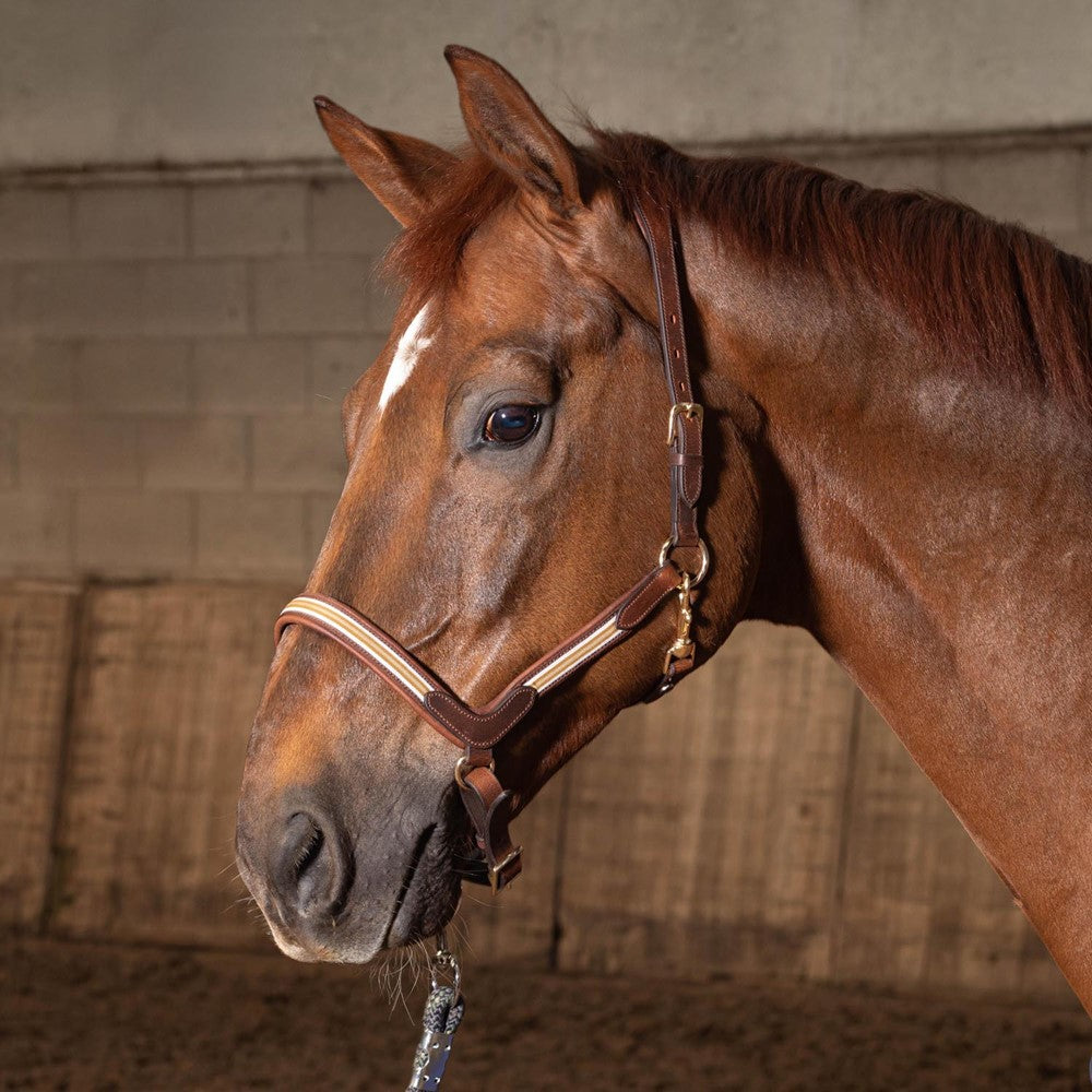 Halster leder Braided