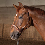 Halster leder Braided