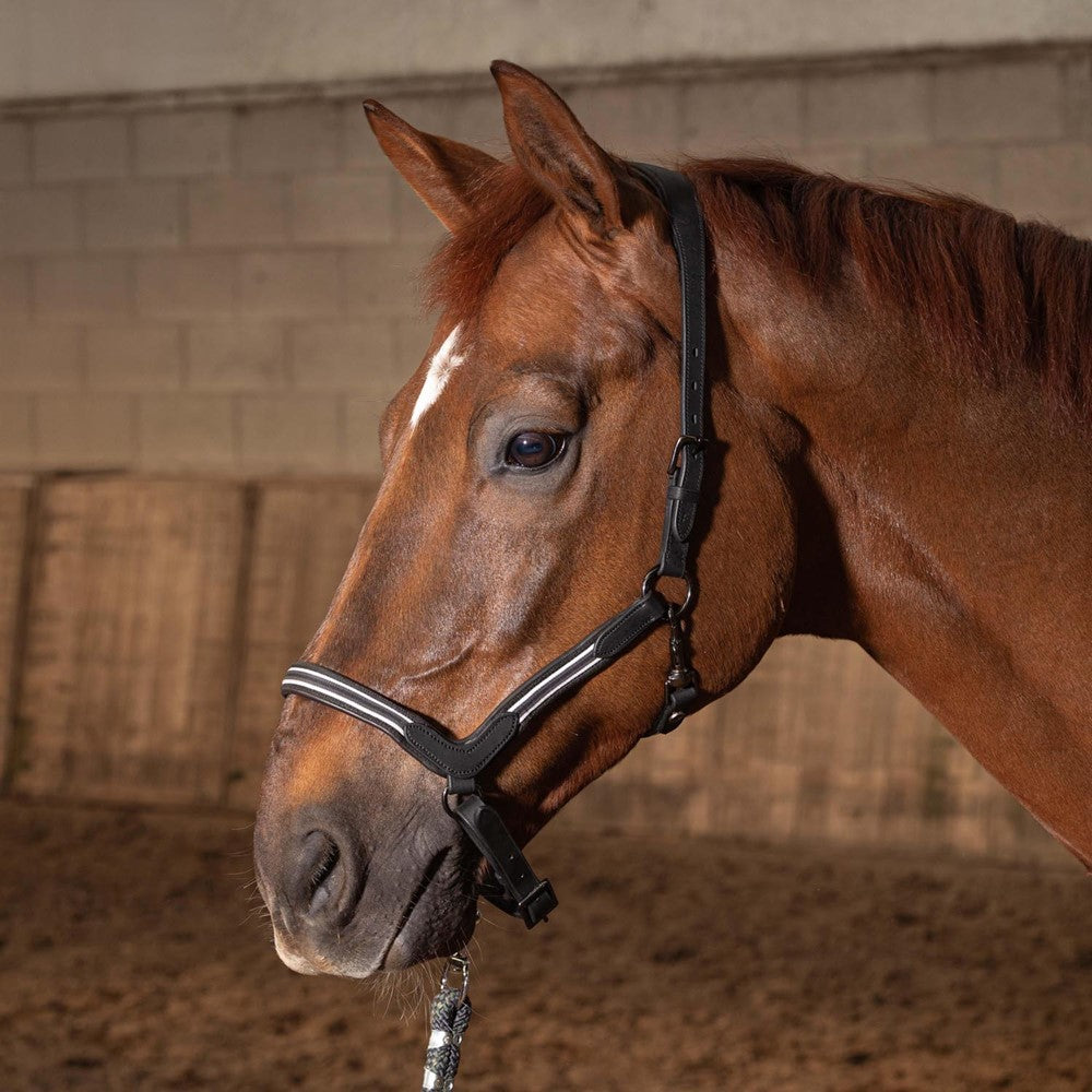 Halster leder Braided