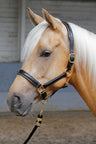 Halster Leder met bies