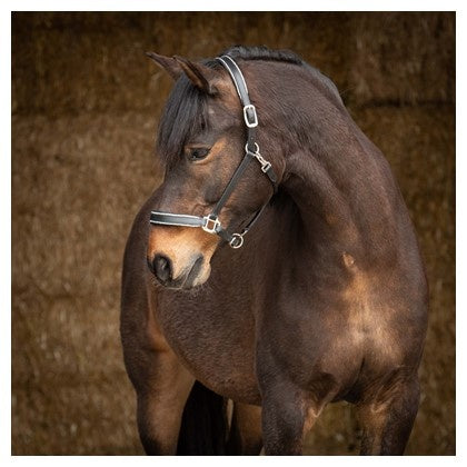 Halster Leder Sparkle