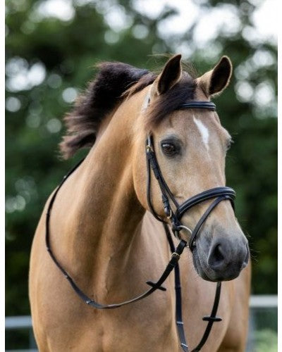 Hoofdstel Basic Zwart met zwart onderlegd