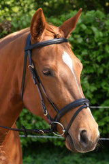 Hoofdstel Basic Zwart met zwart onderlegd