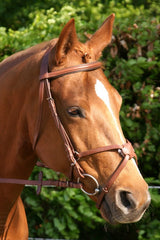 mexicaans hoofdstel havanna met rvs