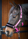 Headcollar Lyrics Quotes