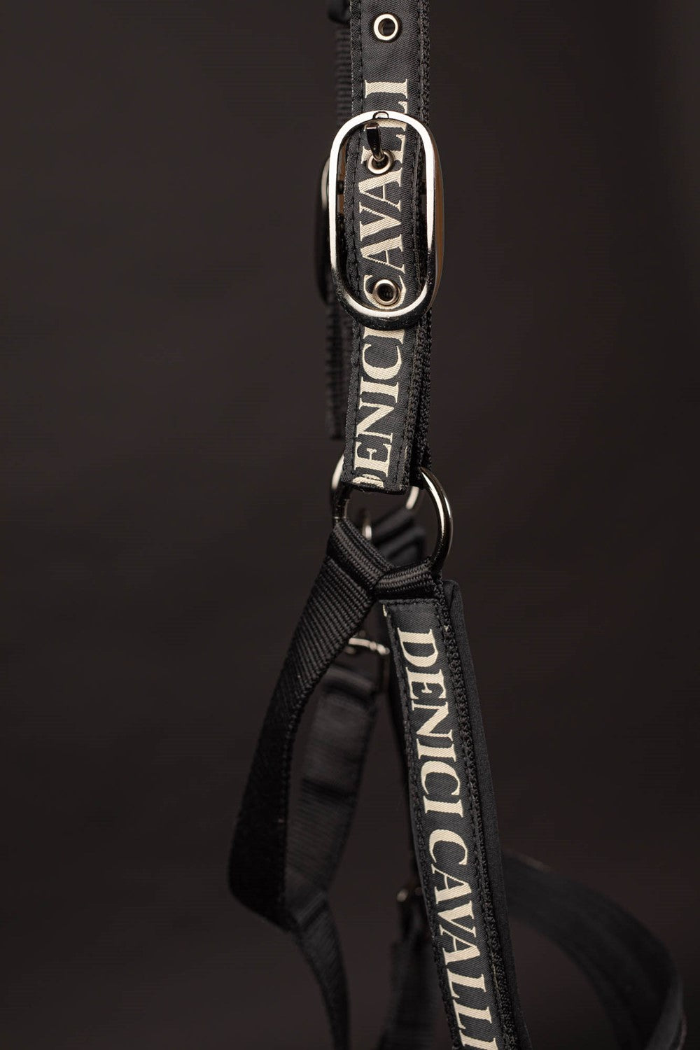 Halsterset Denici Cavalli Stardust