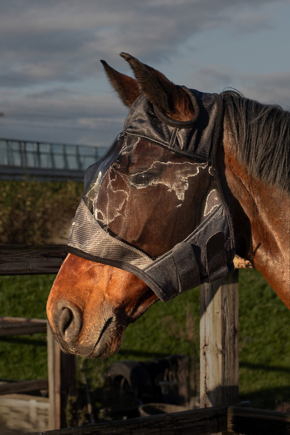 Vliegenmasker Flyshield zonder oren, bamboo lining