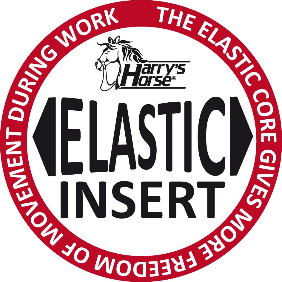 Dressuursingel E-motion