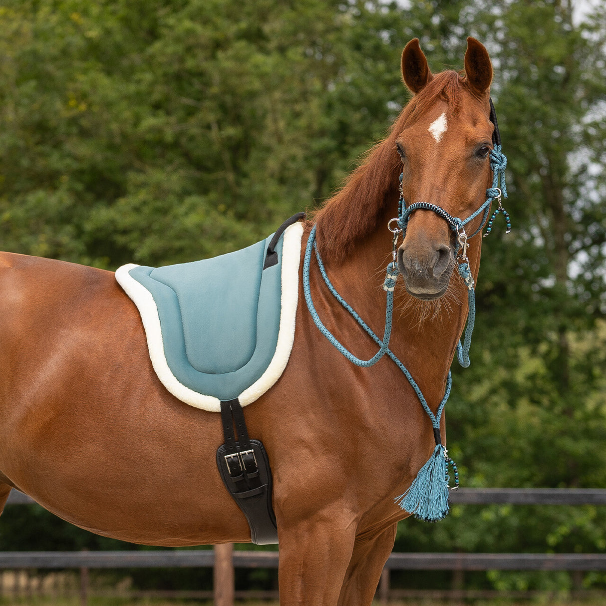 Bareback pad