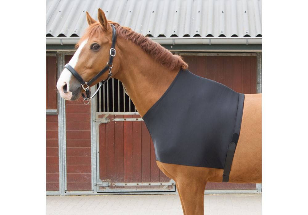 Brustschutz aus Lycra