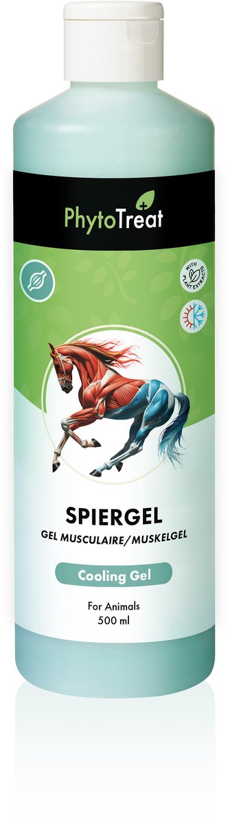 PhytoTreat Dual Action Spiergel 500ml (HOPP Spiergel)