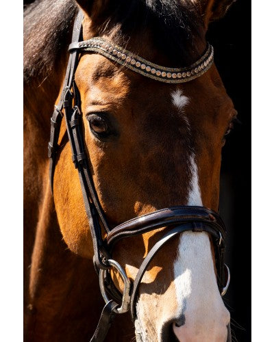 HB Showtime Jump lak