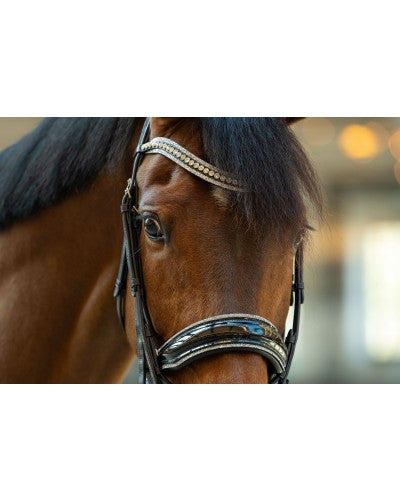 HB Showtime One in a Million stang en trens