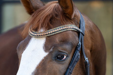 Showtime It is So Special