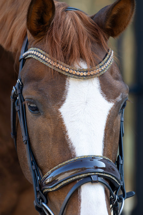 Showtime It is So Special