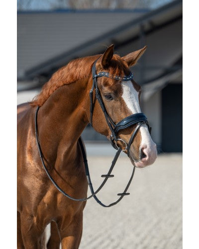 Showtime It is So Special