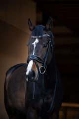 Showtime It is So Special