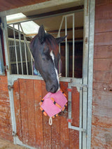 Horse Toys Cube