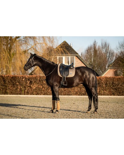 640 HB Showtime Lake View Dressurdecke