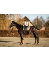 640 HB Showtime Lake View Dressurdecke