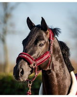 HB teddy halster Showtime