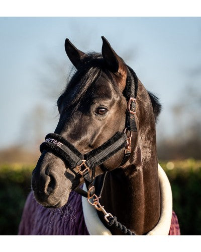 HB teddy halster Showtime