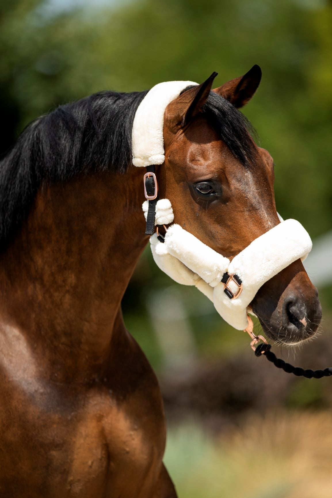 HB Show-time Rose Gold allround fluffy