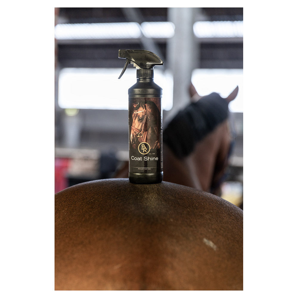 BR glansspray 500 ml