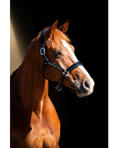 HB Showtime Lederen halster Rivet Swarovski