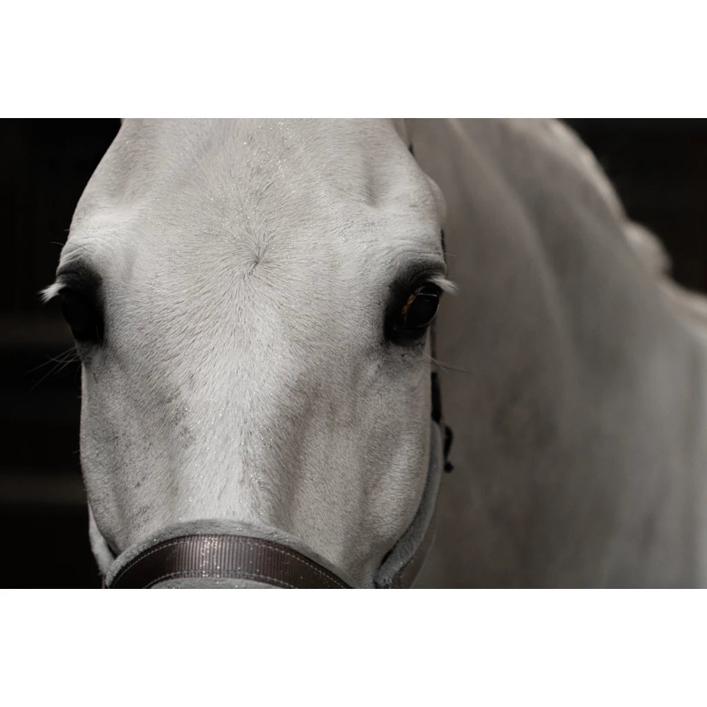 Lucky Horse Einhorn Glitzerspray Grün