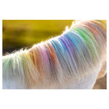 Lucky Horse Einhorn Regenbogen Buntstifte