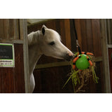 Excellent Horse Fun Play Ball Roze