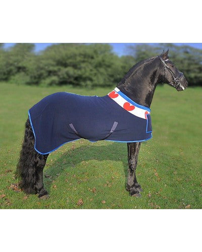 HB Showdecke Friesen