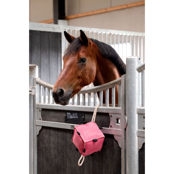 Horse Toys Cube